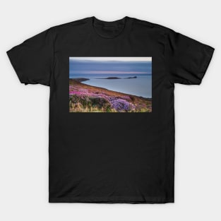 Worms Head and Rhossili Bay from Rhossili Down, Gower, Wales T-Shirt